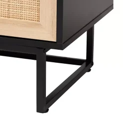 Clearance Kirklands Home Wood and Rattan 2-Door Cabinet Black