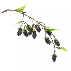 Best Kirklands Home Blackberry Vine Sprays, Set of 6
