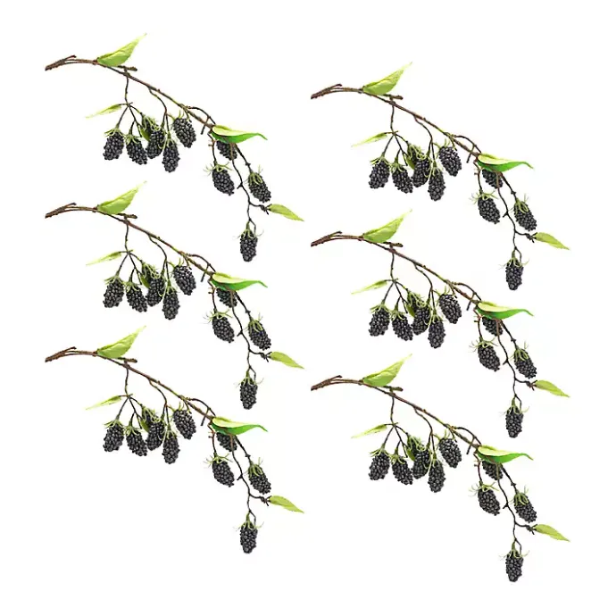 Best Kirklands Home Blackberry Vine Sprays, Set of 6