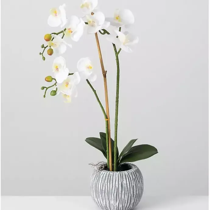 Outlet Kirklands Home Blooming White Orchid Potted Floral Arrangement