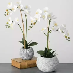 Outlet Kirklands Home Blooming White Orchid Potted Floral Arrangement