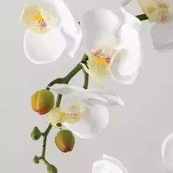 Outlet Kirklands Home Blooming White Orchid Potted Floral Arrangement