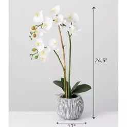 Outlet Kirklands Home Blooming White Orchid Potted Floral Arrangement