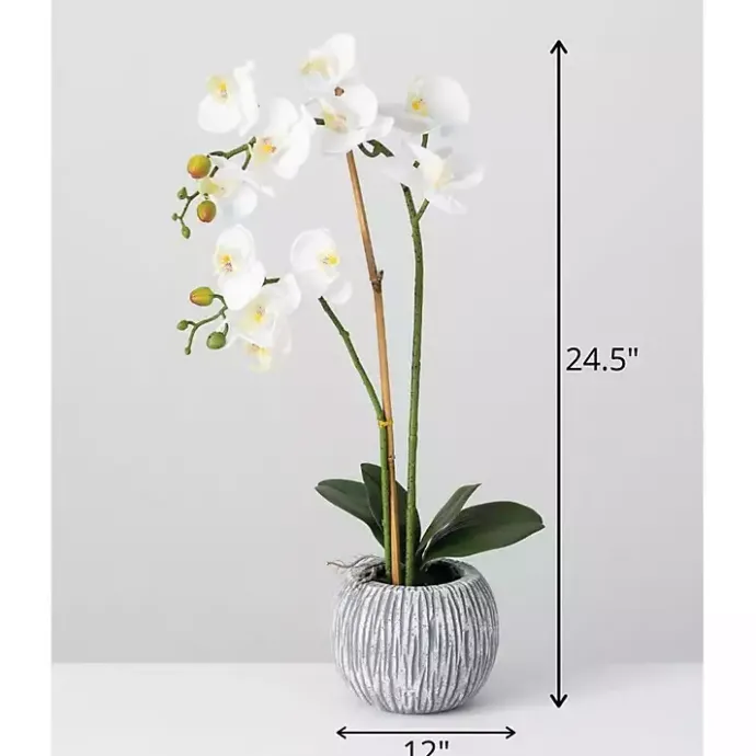 Outlet Kirklands Home Blooming White Orchid Potted Floral Arrangement