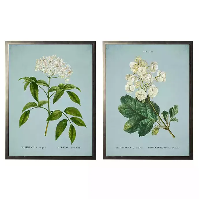 Clearance Kirklands Home Blue Floral Diagram I Framed Art Prints, Set of 2