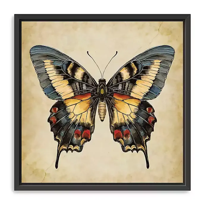 Discount Kirklands Home Blue Vintage Butterfly Framed Canvas Art Print