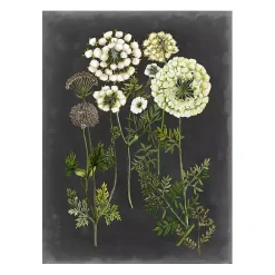 Clearance Kirklands Home Bookplate Floral II Giclee Canvas Art Print