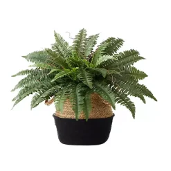 Outlet Kirklands Home Boston Fern Arrangement in Woven Basket DIY Kit
