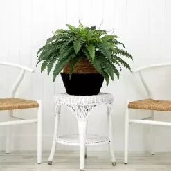 Outlet Kirklands Home Boston Fern Arrangement in Woven Basket DIY Kit