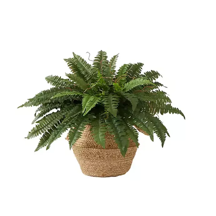 Sale Kirklands Home Boston Fern Arrangement in Brown Basket DIY Kit