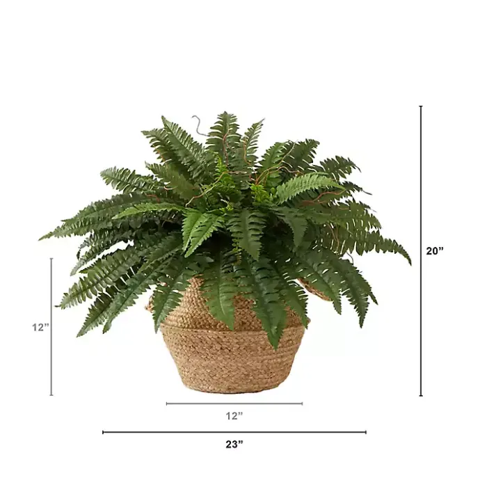 Sale Kirklands Home Boston Fern Arrangement in Brown Basket DIY Kit