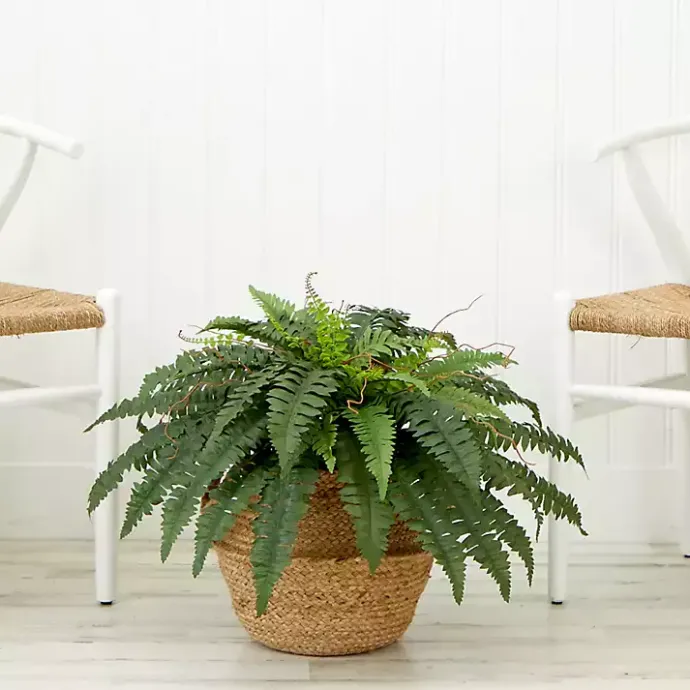 Sale Kirklands Home Boston Fern Arrangement in Brown Basket DIY Kit