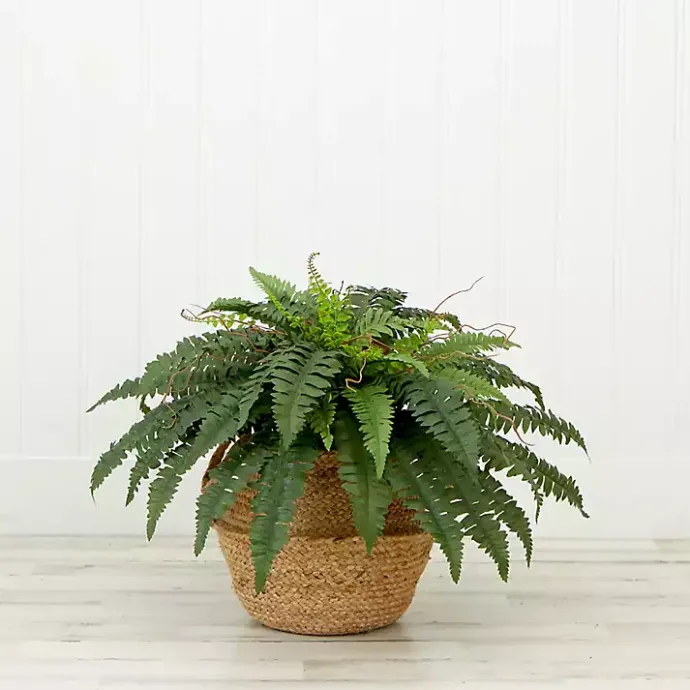 Sale Kirklands Home Boston Fern Arrangement in Brown Basket DIY Kit