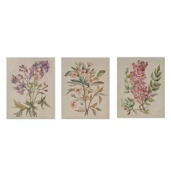 Best Kirklands Home Botanical Linen Art Prints, Set of 3 Multi