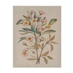 Best Kirklands Home Botanical Linen Art Prints, Set of 3 Multi