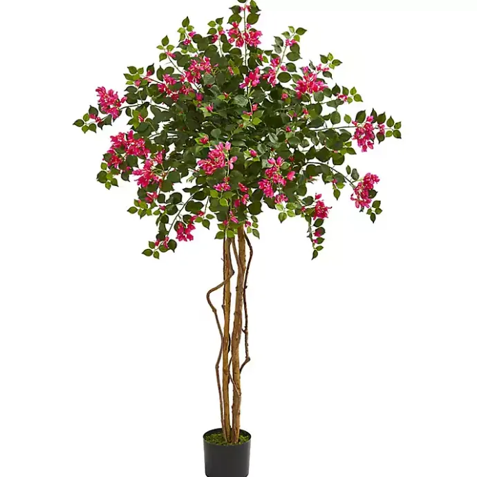 Best Kirklands Home Bougainvillea Tree, 5.5 ft.