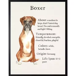 Online Kirklands Home Boxer Facts Framed Wall Plaque White