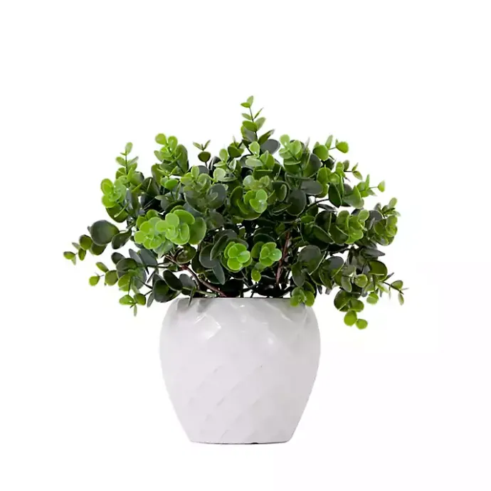 Clearance Kirklands Home Boxwood Arrangement in White Planter