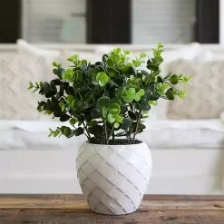 Clearance Kirklands Home Boxwood Arrangement in White Planter