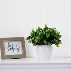 Clearance Kirklands Home Boxwood Arrangement in White Planter