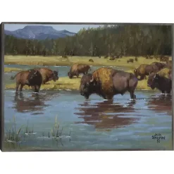 New Kirklands Home Buffalo Crossing Framed Canvas Art Print Multi