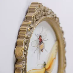 Sale Kirklands Home Bugs on Glass Framed Art Print