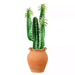 Outlet Kirklands Home Cactus in Terracotta Planter Green