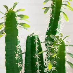 Outlet Kirklands Home Cactus in Terracotta Planter Green