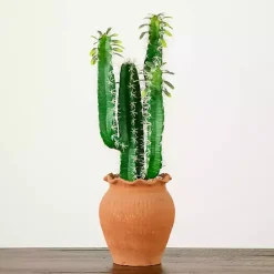 Outlet Kirklands Home Cactus in Terracotta Planter Green