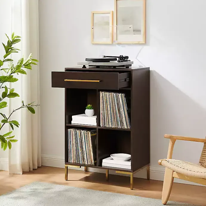 Discount Kirklands Home Cadence Gold Record Storage Bookcase