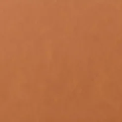 New Kirklands Home Caramel Faux Leather Chelsea Accent Chair Brown