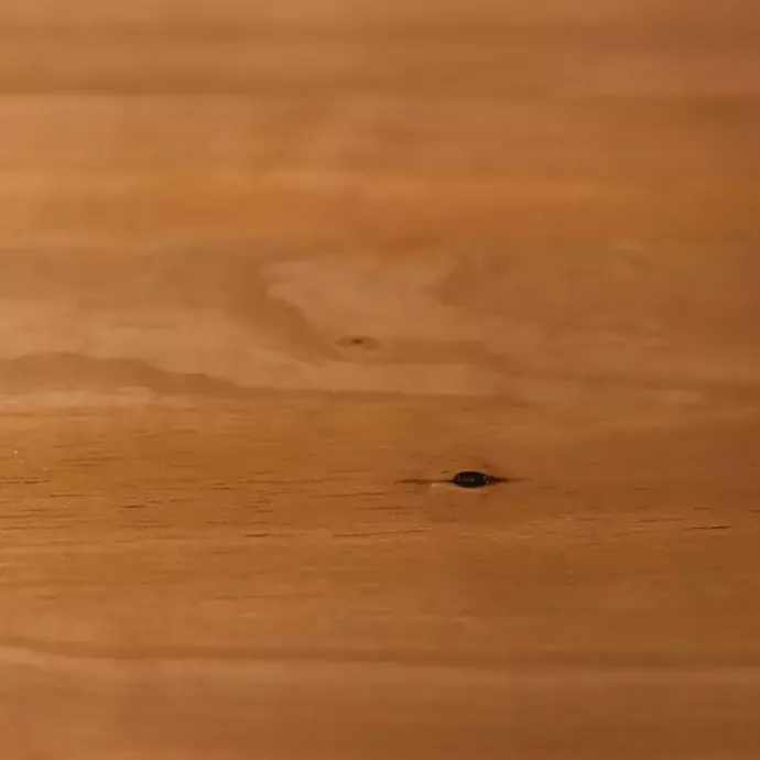 Outlet Kirklands Home Caramel Pine 2-Drawer Nightstand Brown