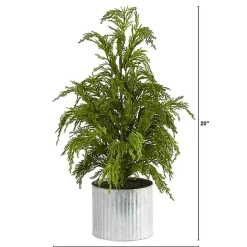 New Kirklands Home Cedar Pine Mini Tree in Corrugated Metal Planter