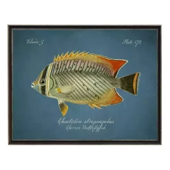 Discount Kirklands Home Chevron Butterflyfish Framed Wall Art Blue