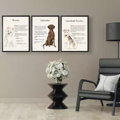 Clearance Kirklands Home Chocolate Labrador Facts Framed Wall Plaque