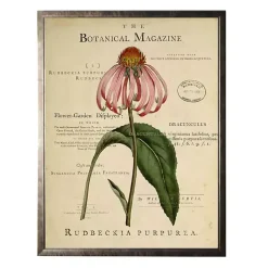 Discount Kirklands Home Coneflower Botanical Magazine Framed Art Print Multi