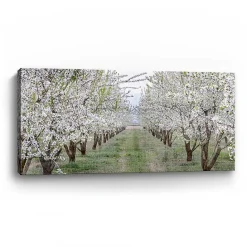 Discount Kirklands Home Countryside Path Canvas Art Print