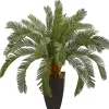 Outlet Kirklands Home Cycas Floor Plant in Tall Black Planter, 30 in.