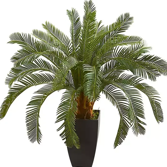 Outlet Kirklands Home Cycas Floor Plant in Tall Black Planter, 30 in.