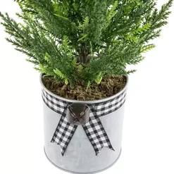 Clearance Kirklands Home Cypress Mini Potted Christmas Tree