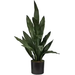 Best Kirklands Home Dark Sansevieria in Nursery Planter, 24 in. Green