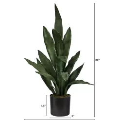 Best Kirklands Home Dark Sansevieria in Nursery Planter, 24 in. Green