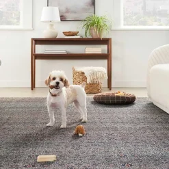 Sale Kirklands Home Dark Vintage Floral Washable Area Rug, 5x7 Gray