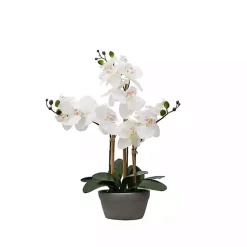 Sale Kirklands Home Desktop Orchid Arrangement in Gray Planter