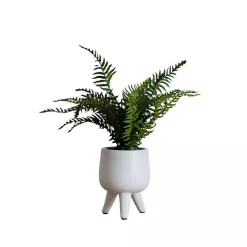 Outlet Kirklands Home Desktop Palm Plant in White Planter