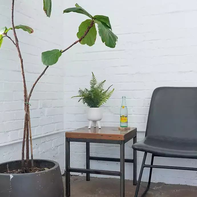 Outlet Kirklands Home Desktop Palm Plant in White Planter