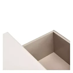 Clearance Kirklands Home Distressed Natural Ronan 2-Drawer Console Table White