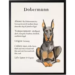 Sale Kirklands Home Dobermann Facts Framed Wall Plaque