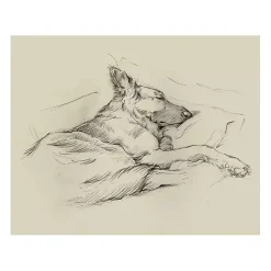 Online Kirklands Home Dog Days IV Canvas Art Print