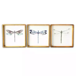 Sale Kirklands Home Dragonfly Framed Art Prints, Set of 3